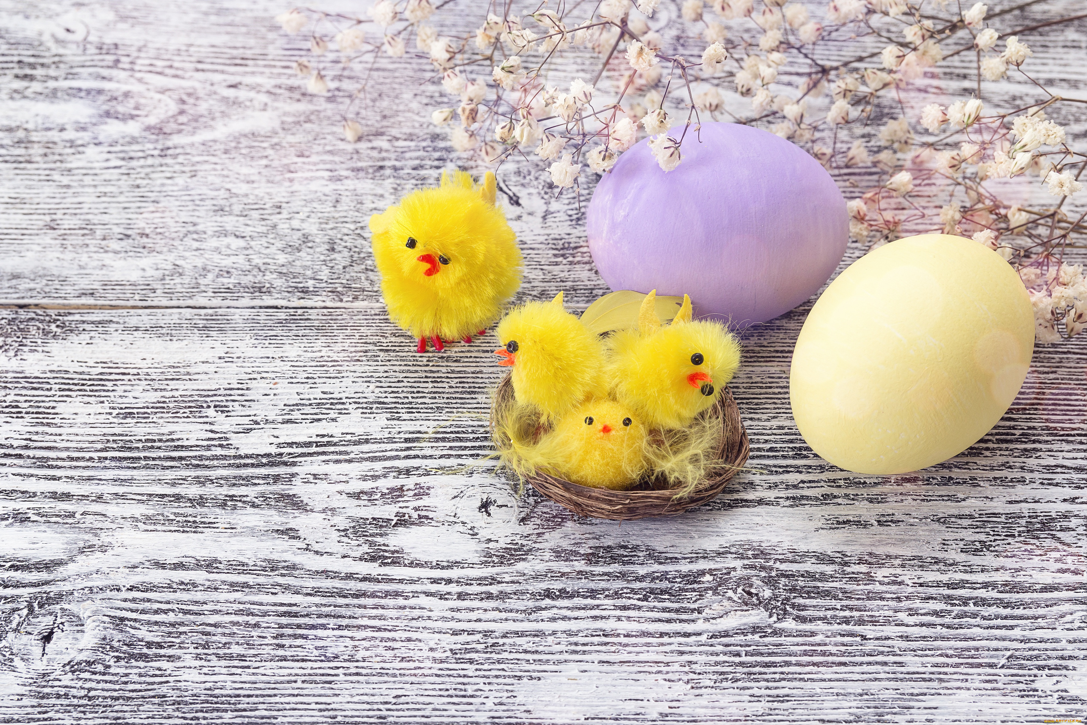 , , flowers, easter, wood, decoration, , , eggs, spring, happy, , 